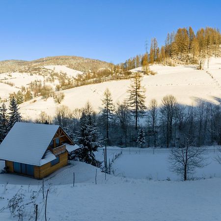 Domek W Gorach Wierchomla Wielka エクステリア 写真